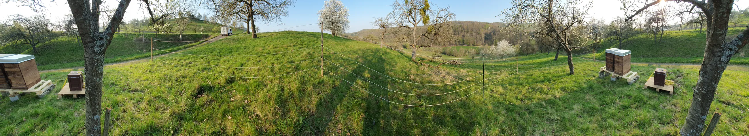 Panorama des Bienenstands am Hang