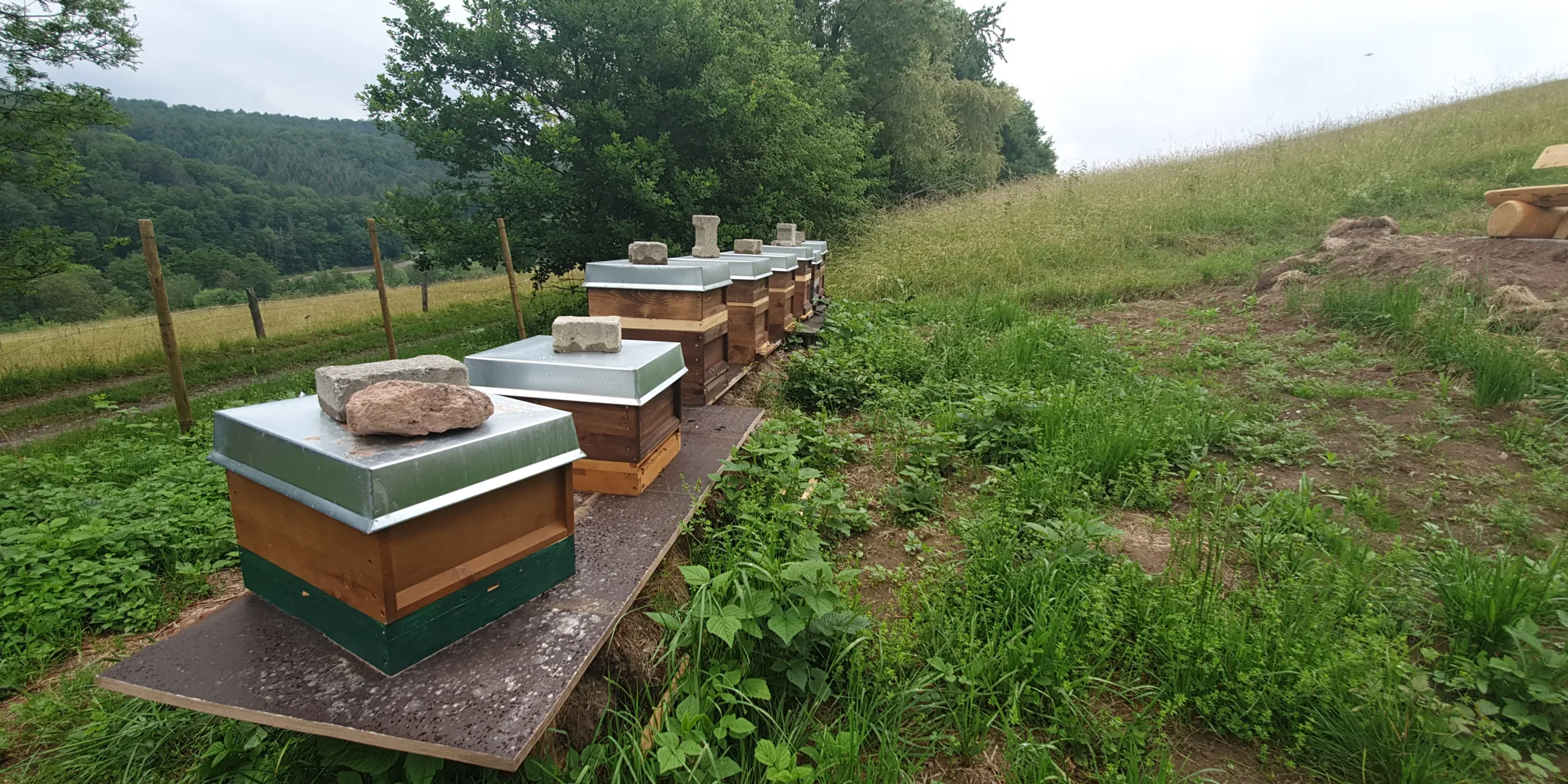 Reihe von Bienenstöcken in der weiten Landschaft des Unterlands