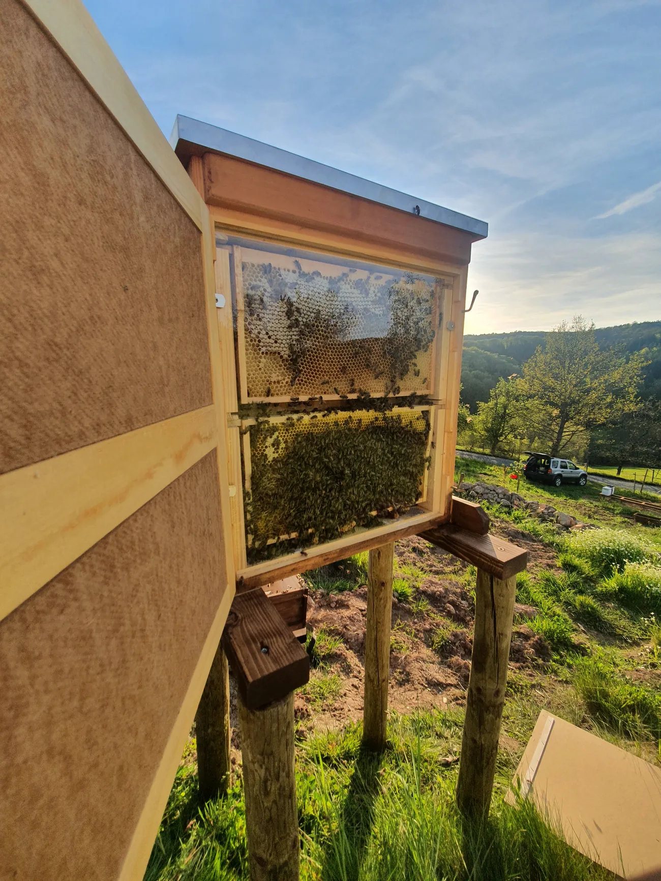 Geöffneter Bienenstock auf einer Anhöhe mit Blick ins Tal